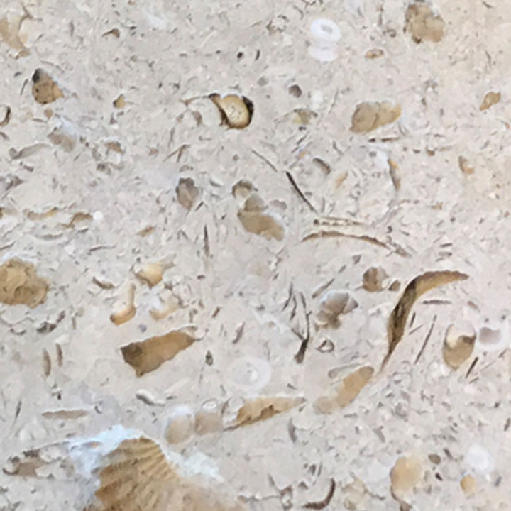 Stone Option- Shellstone - Kreiss Furniture